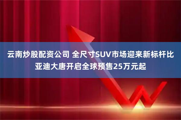 云南炒股配资公司 全尺寸SUV市场迎来新标杆比亚迪大唐开启全球预售25万元起